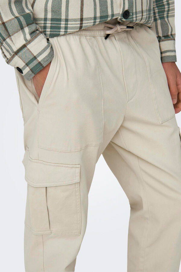 Springfield Fluid cargo trousers gray