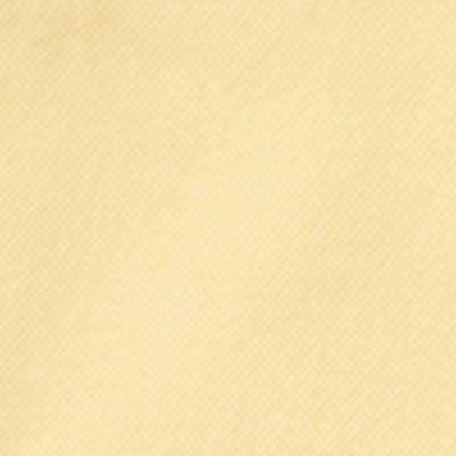 Color swatch