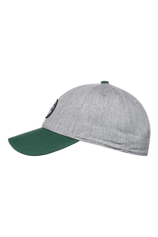 Element Classic baseball cap gris