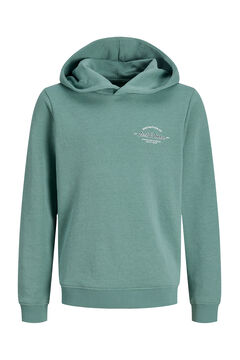 Jack & Jones Junior Sudadera con capucha