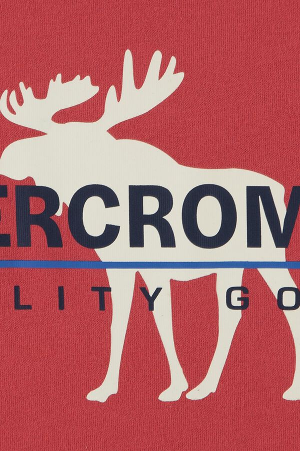 Abercrombie Kids Logo short sleeve T-shirt printed