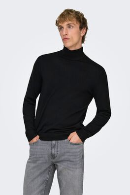 Jersey de cuello vuelto regular fit