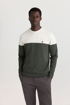 Springfield Colour block basic jumper