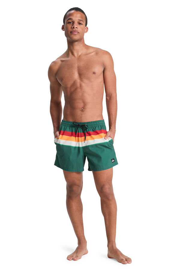 Quiksilver Logo swimwear green