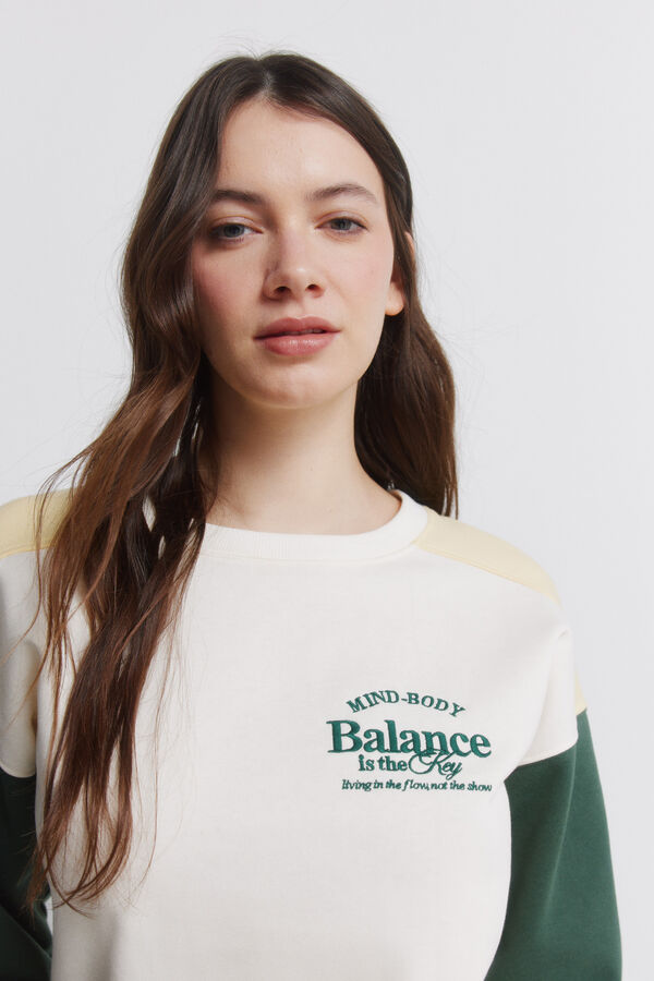 Springfield Tricolour sweatshirt brown