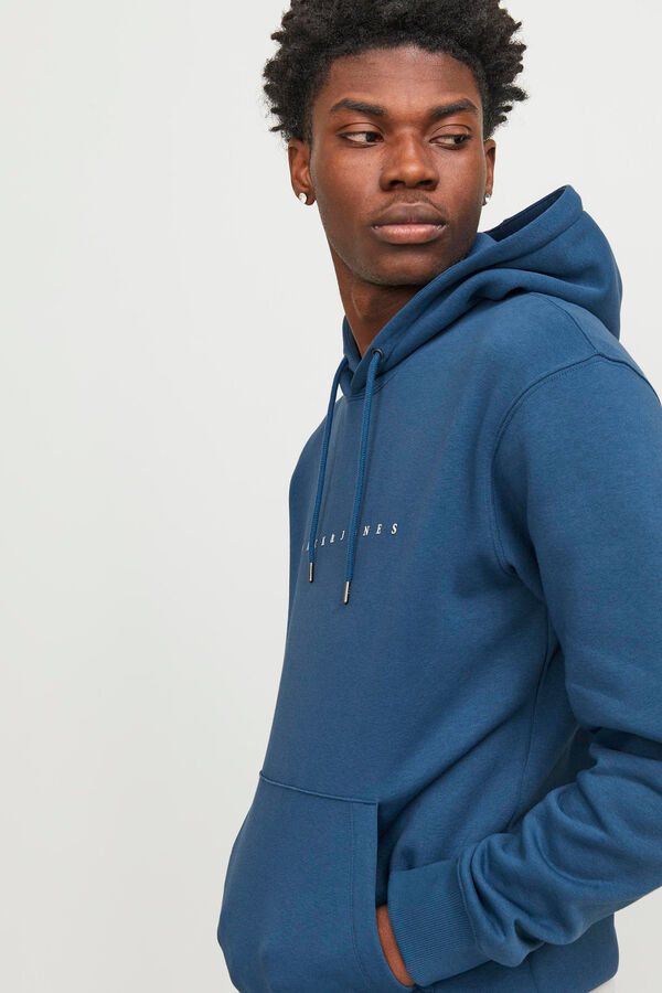 Springfield Standard hoodie bluish