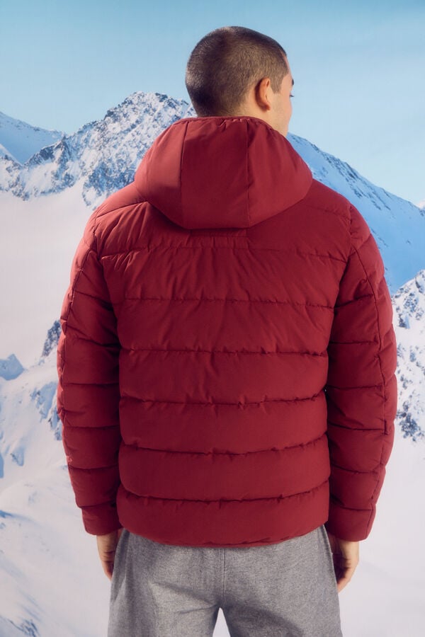 Springfield Veste matelassée thermique orange