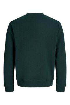 Jack & Jones Sudadera regular estampada