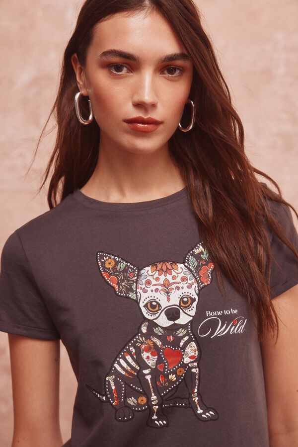 Springfield "Wild" T-shirt grey