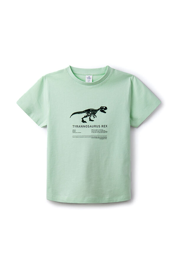 Springfield T-Shirt T-Rex Junge Grün