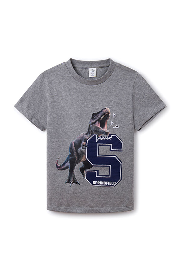 Springfield Boys' dinosaur print T-shirt Siva
