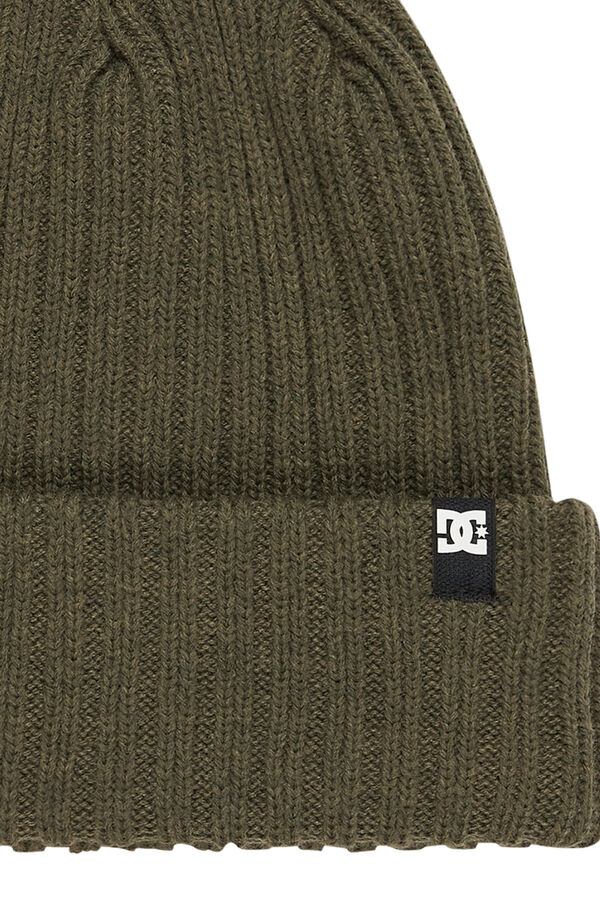DC Shoes Gorro fish n destroy 2 gris