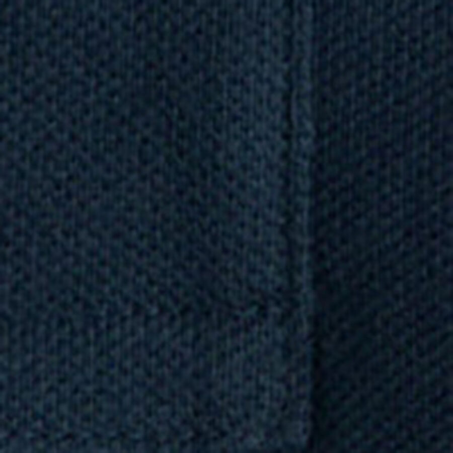 Color swatch