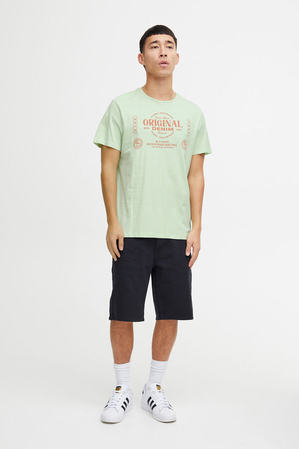 Springfield Logo print short-sleeved t-shirt green water