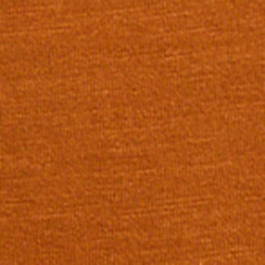 Color swatch