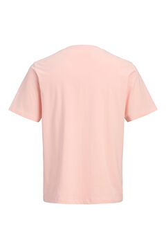 Jack & Jones Front print T-shirt