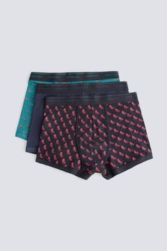 Springfield Pack of 3 dinosaur boxers