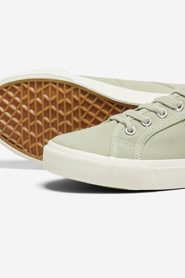 Springfield Canvas trainers green