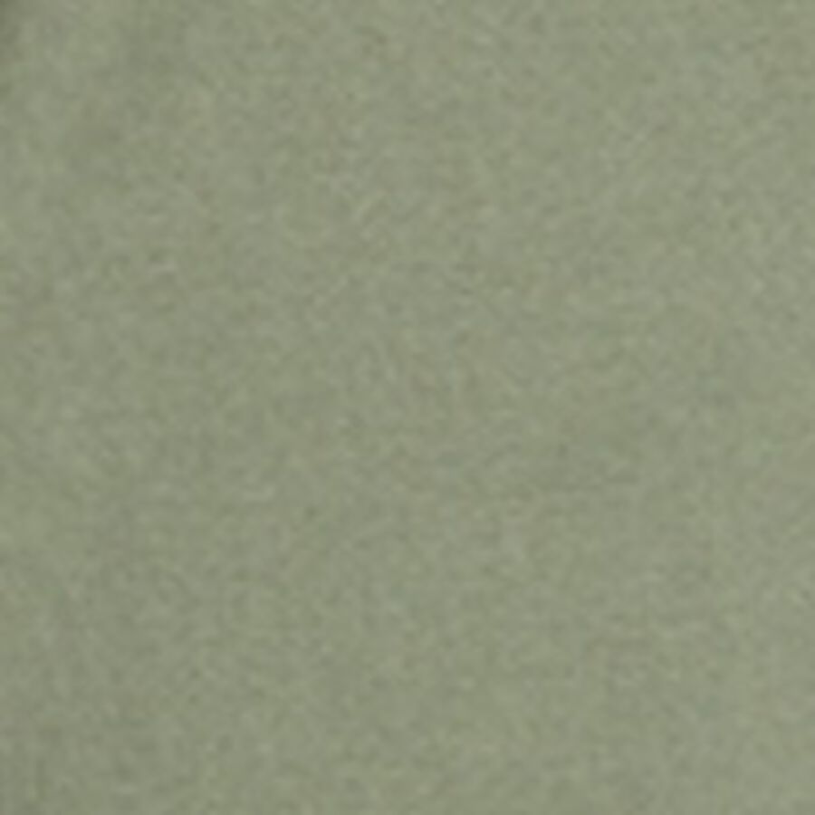 Color swatch