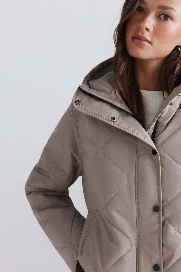 Springfield Puffer short jacket with hood nude