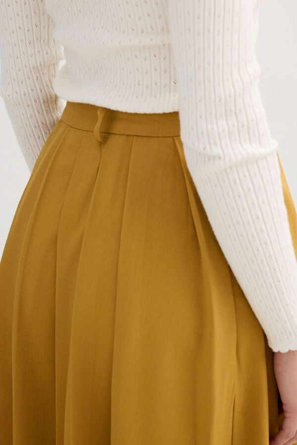 Inside Falda midi tablas nude