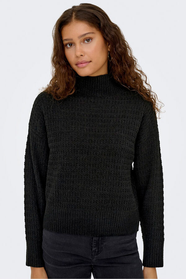 Only Rollkragen Pullover mit hohem Kragen Schwarz