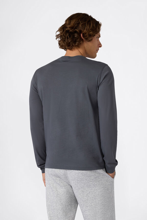 Champion Camiseta manga larga Champion gris