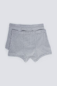 Springfield 2-pack basic boxers
