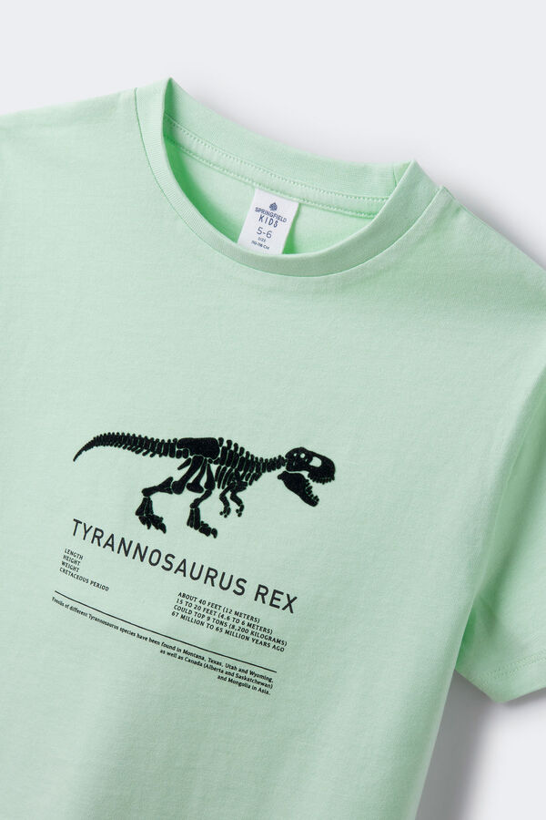 Springfield T-shirt T-rex garçon eau verte