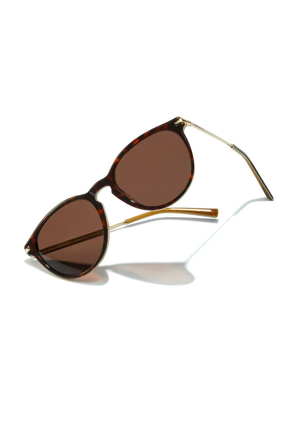 Springfield Mark sunglasses - Polarised Carey Brown brun