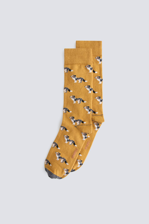Springfield Australian shepherd cotton sock printed