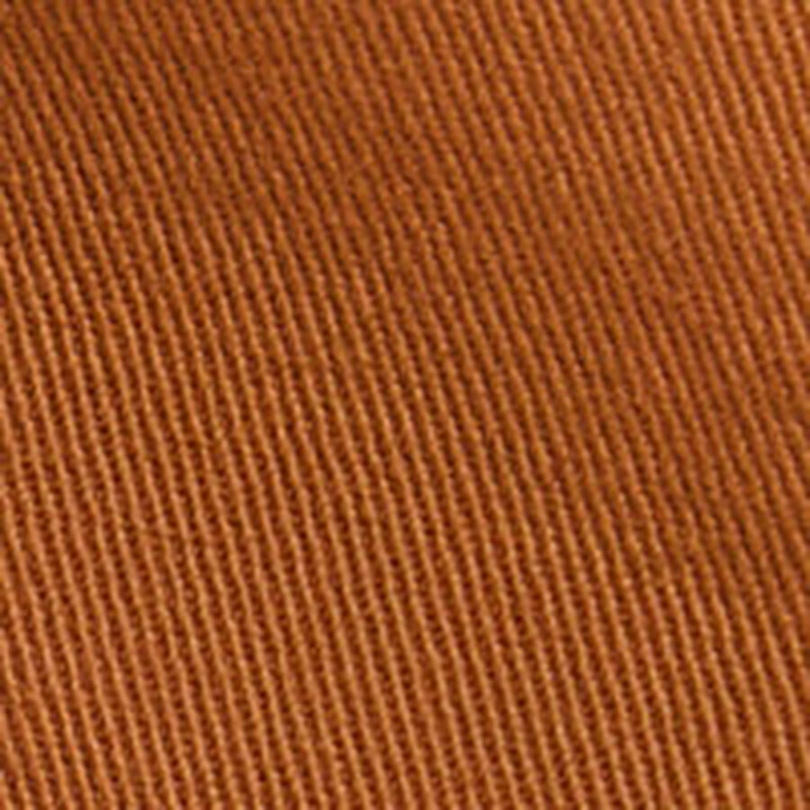 Color swatch