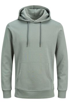 Springfield Sustainable hoodie gray