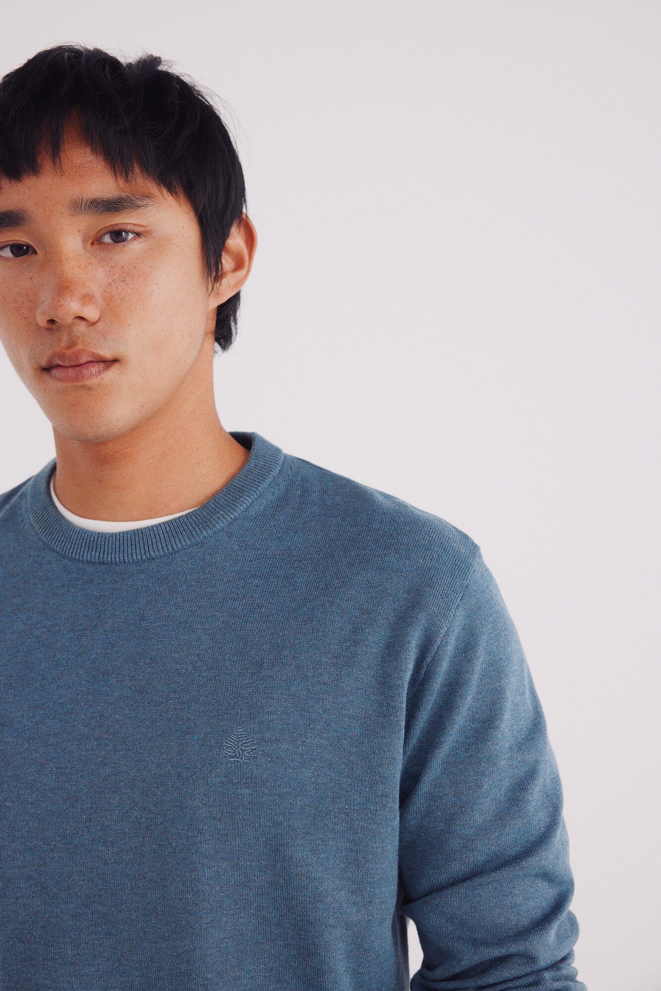 Springfield Basic jumper