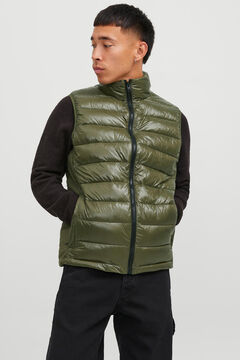 Springfield Recycled polyester quilted gilet green