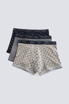 Springfield Pack 3 vehicle boxers