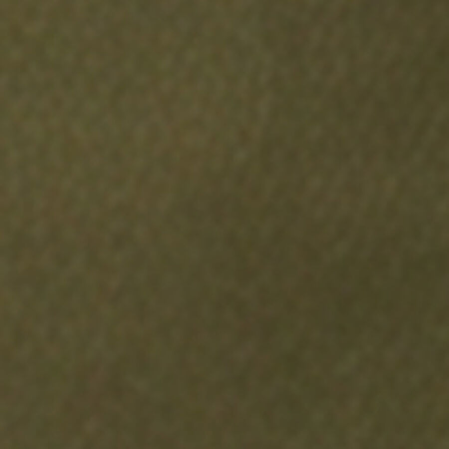 Color swatch
