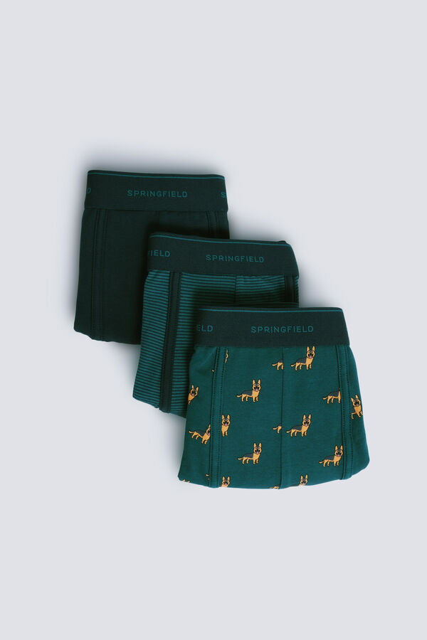 Springfield Pack of 3 boxer dogs and striped green