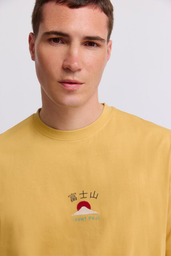 Springfield Fuji T-shirt printed