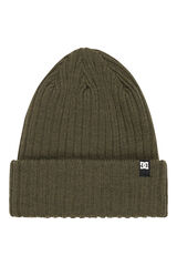 DC Shoes Gorro fish n destroy 2 gris
