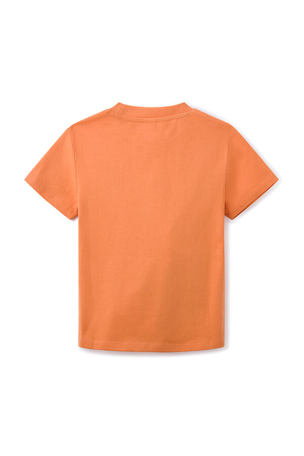 Springfield Boys' skate print T-shirt narančasta