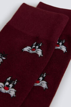 Springfield Silverstre Warner long sock