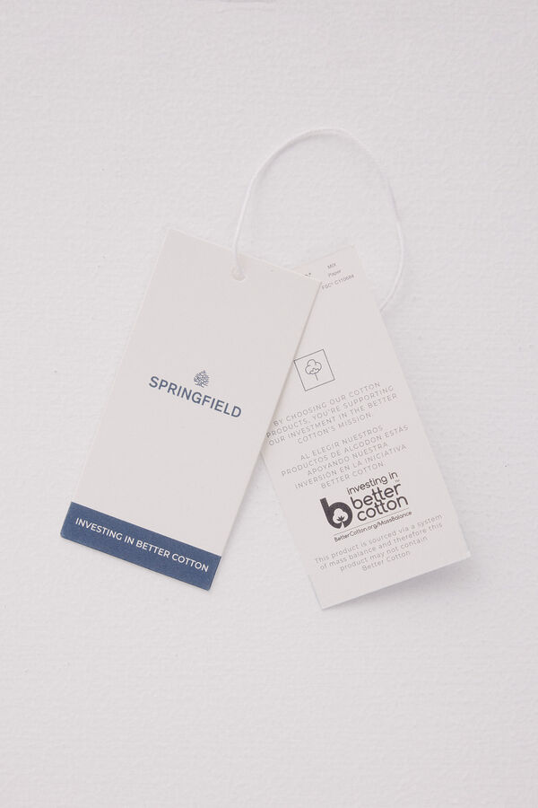 Springfield Striped slogan T-shirt blue