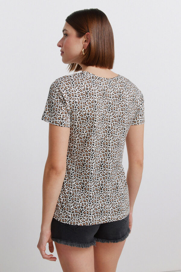 Springfield Printed short sleeve T-shirt brown