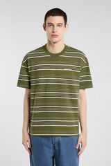 Dickies Striped short sleeve T-shirt printed