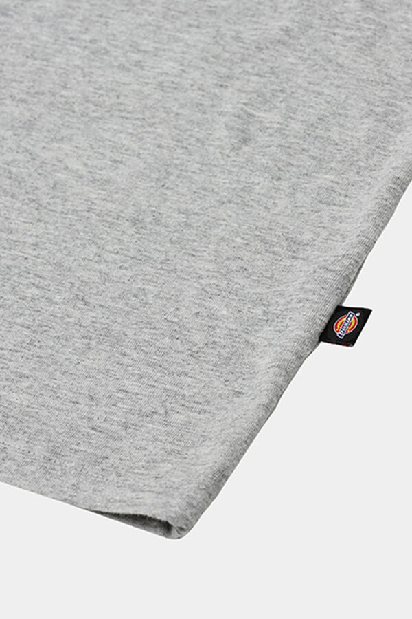 Dickies Short sleeve T-shirt grey