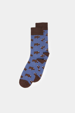 Springfield Long bison socks blue