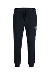 Jack & Jones Jogger pants blue