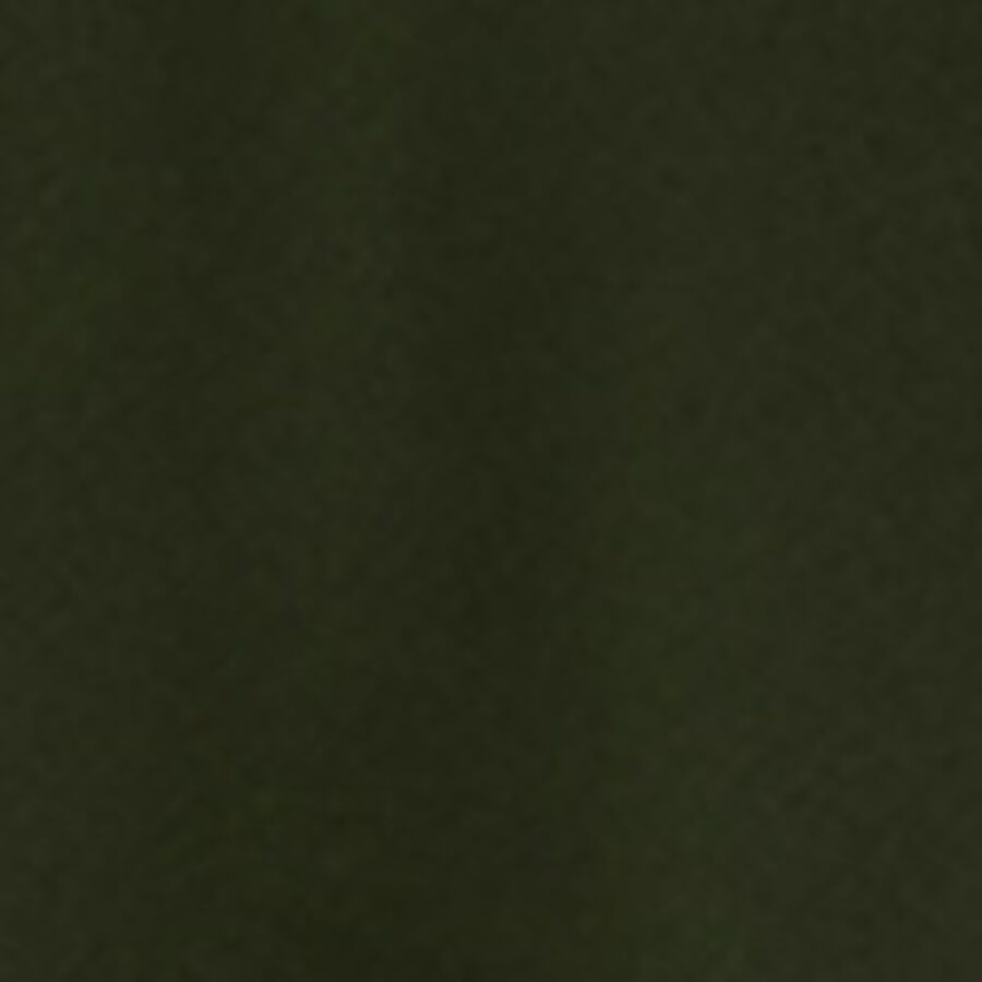 Color swatch