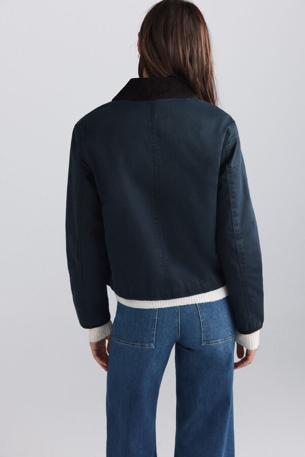 Springfield Casaco curto com gola de bombazina azul
